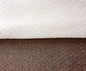 Paris Spring Fabric