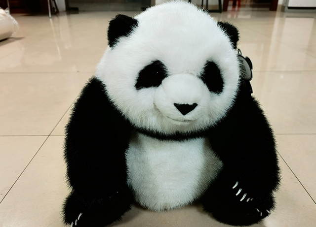 Stuffed Toys